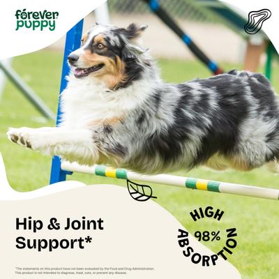 Show full view: Forever Puppy Hip & Joint Drops Liquid Supplement for Dogs, 4-fl oz bottle slide 3 of 8