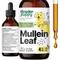 Show in main carousel: Forever Puppy Mullein Drops Liquid Respiratory Supplement for Dogs, 4-fl oz bottle slide 1 of 9