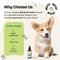 Show in main carousel: Forever Puppy Stinging Nettle Leaf Drops Liquid Skin & Coat Supplement for Dogs, 4-fl oz bottle slide 6 of 9