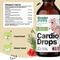 Show in main carousel: Forever Puppy Cardio Drops Liquid Heart Supplement for Dogs, 4-fl oz bottle slide 7 of 9