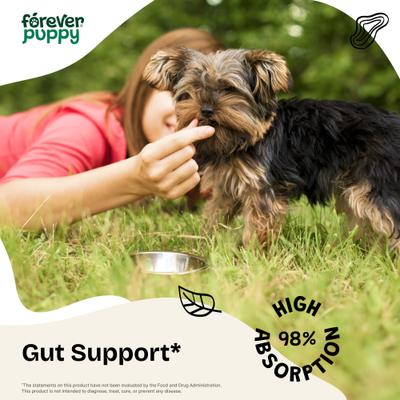 Show full view: Forever Puppy Slippery Elm Drops Liquid Digestive Aid for Dogs, 4-fl oz bottle slide 3 of 9