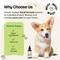 Show in main carousel: Forever Puppy Slippery Elm Drops Liquid Digestive Aid for Dogs, 4-fl oz bottle slide 6 of 9