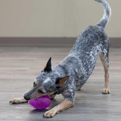 Show full view: Starmark Snapper Trapper Venus Tough Dog Treat Dispensers Toy, Pink, Small slide 6 of 6