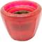 Show in main carousel: Starmark Cookie Cup Jar Tough Dog Treat Dispenser Toy, Red, Medium slide 1 of 9