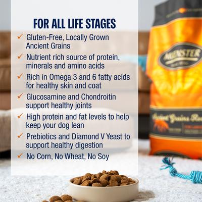 Show full view: Muenster High Protein Chicken Recipe with Ancient Grains Dry Dog Food, 22-lb bag slide 9 of 9