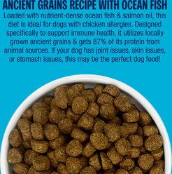 Muenster Chicken-Free Ocean Fish Recipe with Ancient Grains Dry Dog Food, 22-lb bag slide 2 of 8