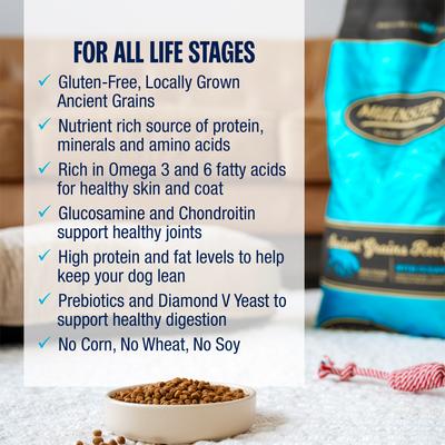 Show full view: Muenster Chicken-Free Ocean Fish Recipe with Ancient Grains Dry Dog Food, 22-lb bag slide 9 of 9