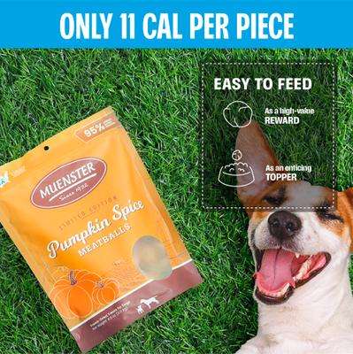 Show full view: Muenster Meatball Pumpkin Spice Limited Ingredient Diet Freeze-Dried Dog Treats, 4-oz bag slide 4 of 9