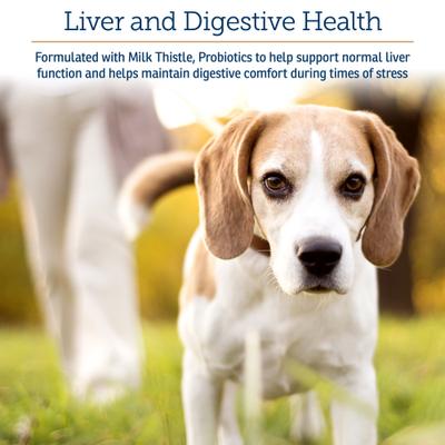 Show full view: Rx Vitamins Onco Powder Immune Support Supplement for Dogs & Cats, 10.58-oz jar slide 4 of 7