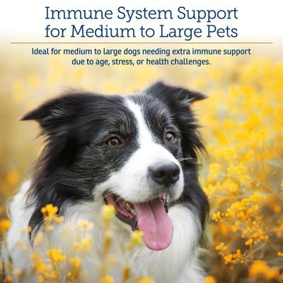 Show full view: Rx Vitamins GlucaMune Forte Capsules Immune Supplement for Dogs & Cats, 60 count slide 3 of 7