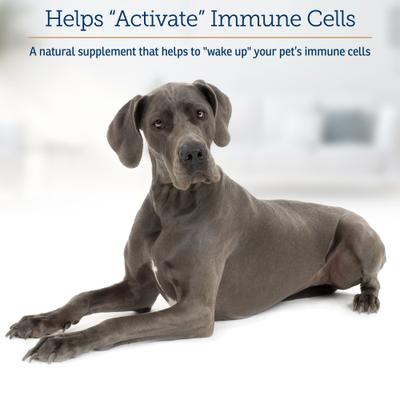 Show full view: Rx Vitamins GlucaMune Forte Capsules Immune Supplement for Dogs & Cats, 60 count slide 4 of 7