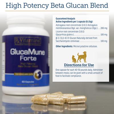 Show full view: Rx Vitamins GlucaMune Forte Capsules Immune Supplement for Dogs & Cats, 60 count slide 6 of 7