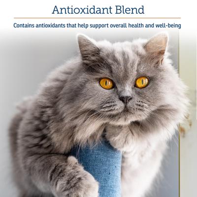 Show full view: Rx Vitamins Onco Powder Immune Support Supplement for Dogs & Cats, 10.58-oz jar slide 5 of 7