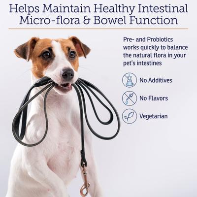 Show full view: Rx Vitamins Rx Biotic Powder Digestive Aid Supplement for Dogs & Cats, 1.25-oz jar slide 5 of 8