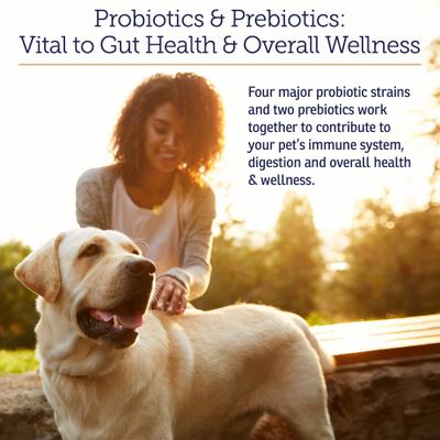 Show full view: Rx Vitamins Rx Biotic Powder Digestive Aid Supplement for Dogs & Cats, 1.25-oz jar slide 3 of 8