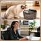 Show in main carousel: ONIZOOMI Smart Stainless Steel Bowl Automatic Cat & Dog Water Fountain, Black, 12-Cup slide 8 of 12