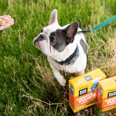 Show full view: Blue Dog Bakery Doggie Paws Maple Bacon Dog Treats, 16.2-oz box slide 7 of 9