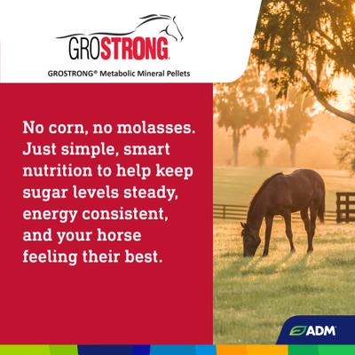 Show full view: ADM GroSTRONG Metabolic Mineral Pellets Low Sugar Low Starch Horse Feed, 40-lb bag slide 7 of 8