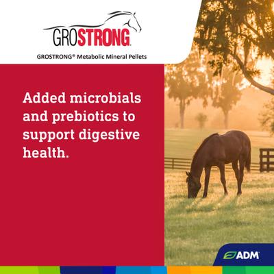 Show full view: ADM GroSTRONG Metabolic Mineral Pellets Low Sugar Low Starch Horse Feed, 40-lb bag slide 5 of 8