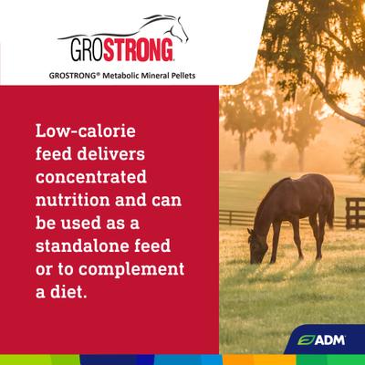 Show full view: ADM GroSTRONG Metabolic Mineral Pellets Low Sugar Low Starch Horse Feed, 40-lb bag slide 6 of 8