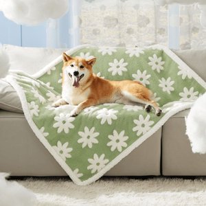 Lesure Waterproof Calming Double-Sided Jacquard Shag & Soft Sherpa Fleece Furniture Protector Dog & Cat Blanket, Green, Large