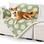 Best Cat Couch & Furniture Protectors