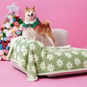 Lesure Waterproof Calming Double-Sided Jacquard Shag & Soft Sherpa Fleece Furniture Protector Dog & Cat Blanket, Green, Large