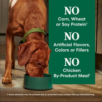 Show full view: Nutro Natural Choice Adult Chicken & Brown Rice Recipe Dry Dog Food, 36-lb bag slide 10 of 11