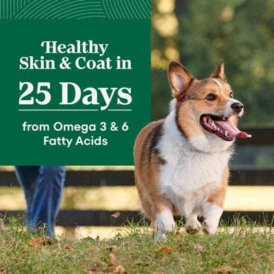 Show full view: Nutro Natural Choice Adult Small Breed Chicken & Brown Rice Recipe Dry Dog Food, 5-lb bag slide 5 of 11