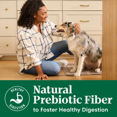 Show full view: Nutro Natural Choice Adult Lamb & Brown Rice Recipe Dry Dog Food, 36-lb bag slide 9 of 11