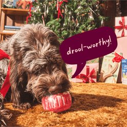 Woof Christmas Holiday Pupsicle Long Lasting Interactive Treat Dispensing Dog Toy for Boredom & Low Mess Design, Candy Cane Red, Large slide 2 of 7