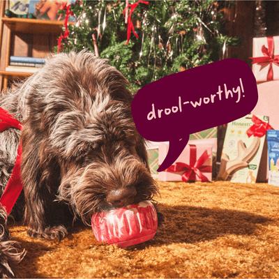 Show full view: Woof Christmas Holiday Pupsicle Long Lasting Interactive Treat Dispensing Dog Toy for Boredom & Low Mess Design, Candy Cane Red, X-Large slide 3 of 8