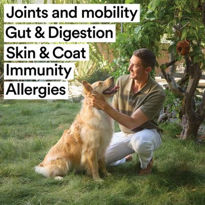 Show full view: VitaDog Nutrition Bundle: Daily All-in-One Powder Supplement, 21.2-oz bag + Custom Blend Oil Liquid Supplement for Dogs, 1-fl oz bottle slide 8 of 9