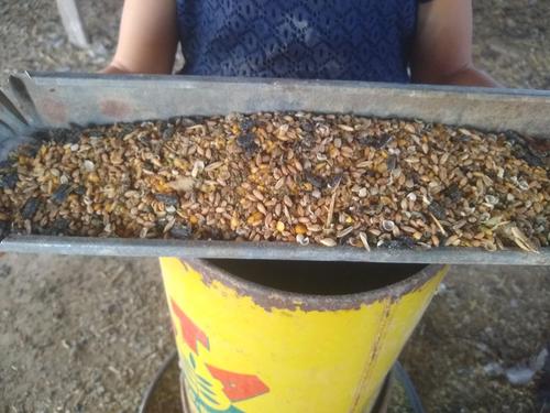 Show full view: Eden Feeds 17% Non-GMO Layer Chicken Feed, 40-lb bag slide 5 of 5