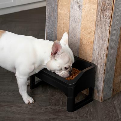 Show full view: IRIS Elevated Dog Feeder with Attachable Feet, Medium, Black, 4-cup slide 4 of 10