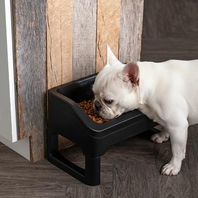 Show full view: IRIS Elevated Dog Feeder with Attachable Feet, Medium, Black, 4-cup slide 3 of 10