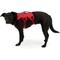 Show in main carousel: Ruffwear Web Master Reflective Handicapped Support Dog Harness, Red Currant, Small: 22 to 27-in chest slide 5 of 6