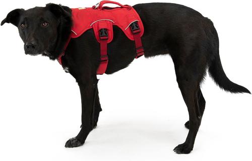 Show full view: Ruffwear Web Master Reflective Handicapped Support Dog Harness, Red Currant, Small: 22 to 27-in chest slide 5 of 6