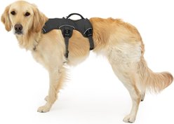 Ruffwear Web Master Reflective Handicapped Support Dog Harness, Twilight Gray, Small: 22 to 27-in chest slide 2 of 6