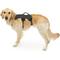 Show in main carousel: Ruffwear Web Master Reflective Handicapped Support Dog Harness, Twilight Gray, Small: 22 to 27-in chest slide 5 of 6