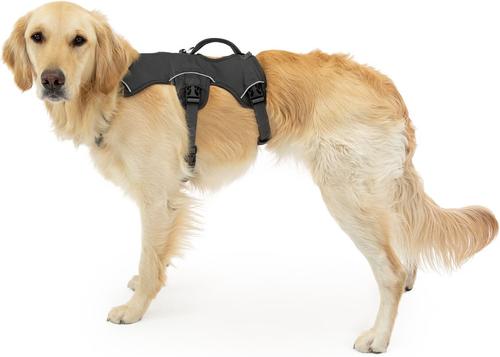 Show full view: Ruffwear Web Master Reflective Handicapped Support Dog Harness, Twilight Gray, Small: 22 to 27-in chest slide 5 of 6