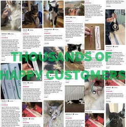 RYERCAT Dual Sided Cat Toothbrush, Shamrock slide 2 of 7