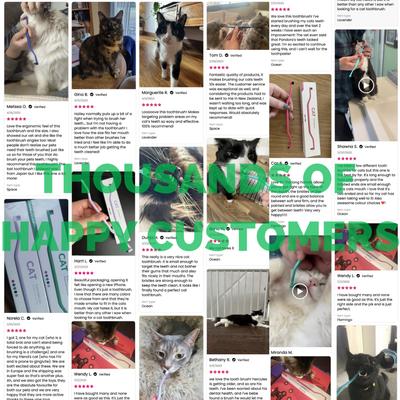 Show full view: RYERCAT Dual Sided Cat Toothbrush, Shamrock slide 8 of 8