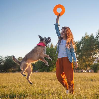 Show full view: Nerf Dog TPR Tire Flyer Dog Flying-Discs Toy, Orange, 10-in slide 3 of 8