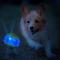 Show in main carousel: Nerf Dog Translucent TPR 3-Part Spike LED & Squeak Dog Ball Toy, Blue/Green, 2.7-in slide 3 of 6