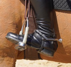 M. Toulouse Soft Touch Ladies Horizontal Ball Horse Spur, Silver, Large slide 2 of 2