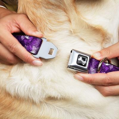 Show full view: Buckle-Down Metal Seatbelt Buckle Hibiscus Collage Print Polyester Dog Collar, Purple, Large: 15 to 24-in neck, 1-in wide slide 8 of 10