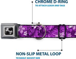 Buckle-Down Metal Seatbelt Buckle Hibiscus Collage Print Polyester Dog Collar, Purple, Small: 9.5 to 13-in neck, 1-in wide slide 2 of 9