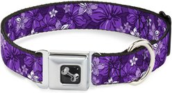 Buckle-Down Metal Seatbelt Buckle Hibiscus Collage Print Polyester Dog Collar, Purple, Large: 15 to 24-in neck, 1-in wide