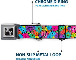 Buckle-Down Metal Seatbelt Buckle Flower Blossom Print Polyester Dog Collar, Small: 9.5 to 13-in neck, 1-in wide slide 2 of 9